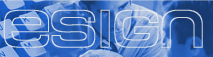 website design