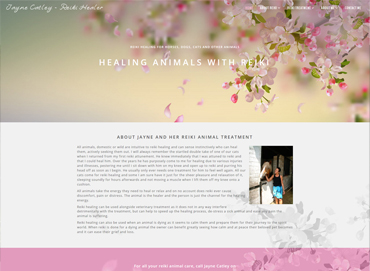 Reiki Healing